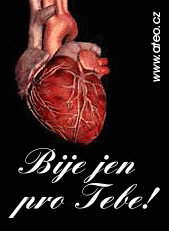 Bije jen pro tebe