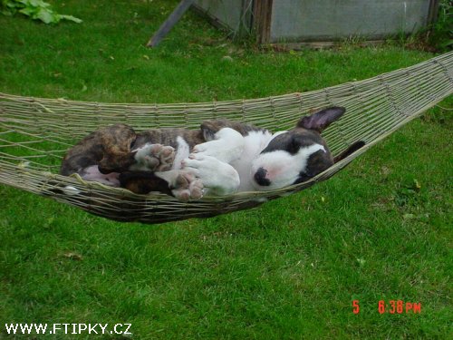 Hlavně že je pohoda