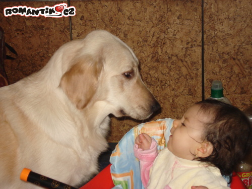 Kdo pak tu má hlad?