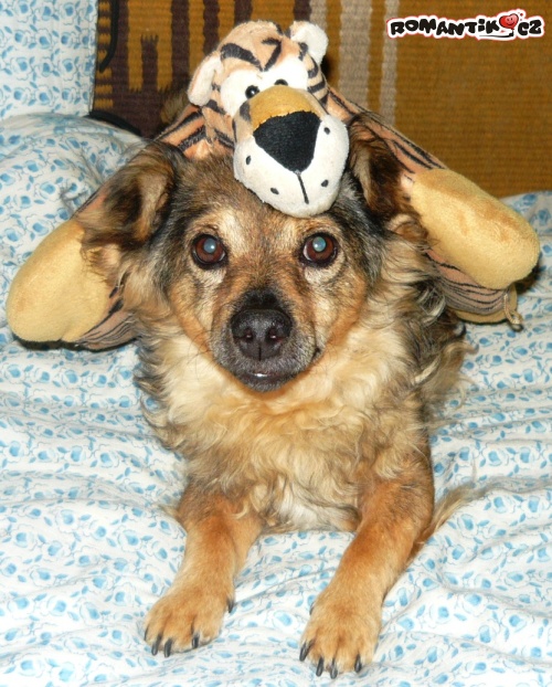 Náčelnice z kmene Ubu