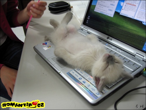 Sorry, dnes nemůžu pracovat