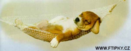 Spokojený uživatel sítě