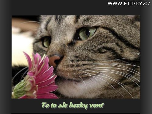 To to ale hezky voní!