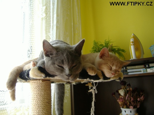 To se ti na mě leží, co?