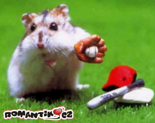 Zahrajem si baseball?