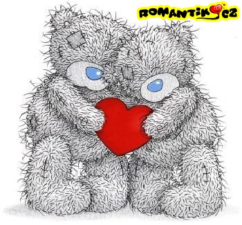 Zamilovaní medvídci