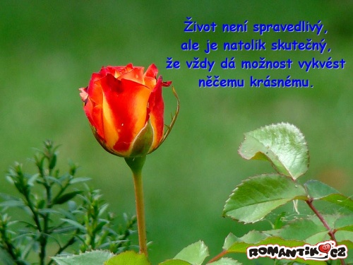 Život není spravedlivý, ale ...